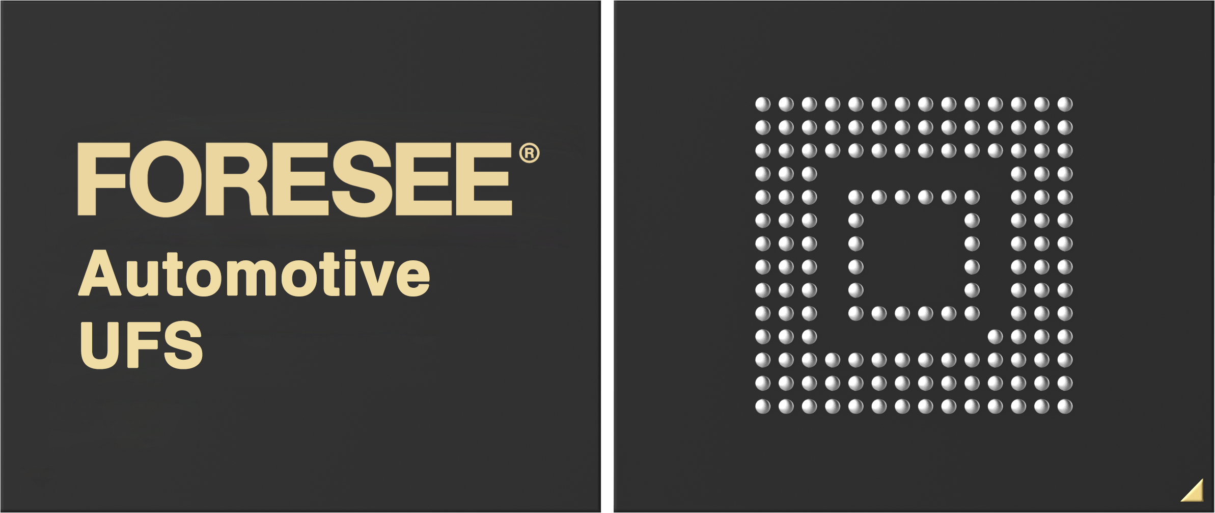 FORESEE嵌入式存储